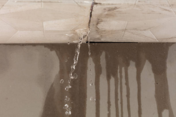 Professional Structural Drying technician working in Turney, MO